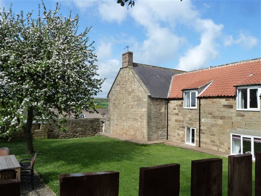 cottage garden